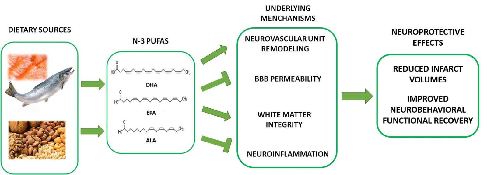 Potential role of omega 3 polyunsaturated fatty acids in ischemic